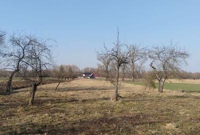 Casă cu 4 camere în Costișa - 7