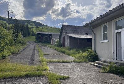 Teren de 115367 mp, în Runcu - 10