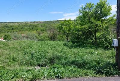 Teren de 2170 mp, în Morău - 5