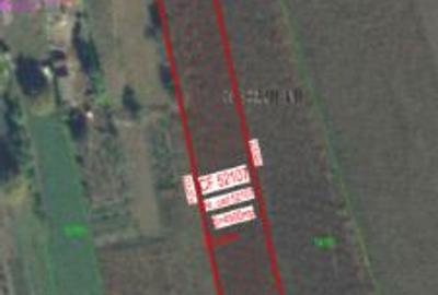 Teren intravilan de 4500 mp, în Secuieni