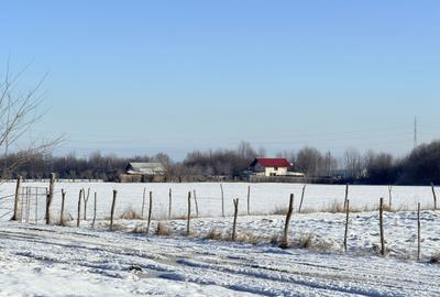 Teren agricol extravilan de 15000 mp, în Vulcan - 6