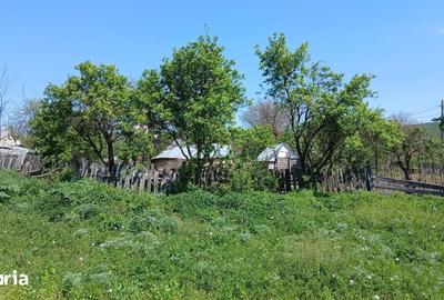 Casă cu 2 camere cu Teren 5914 Mp în Central