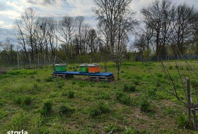 Casă cu 5 camere cu Teren 4000 Mp în Florești - 2