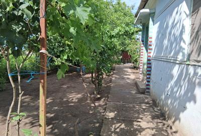 Casă individuală cu 3 camere cu Teren 585 Mp în Vălcani - 3