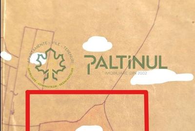Teren agricol extravilan de 4176 mp, în Rășinari - 2
