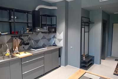 Apartament în Mogoșoaia - 2