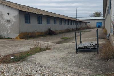 Spațiu industrial, în Potlogi - 2