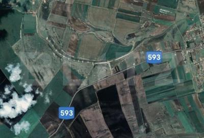 Teren Construcții intravilan de 250000 mp, în Exterior Sud