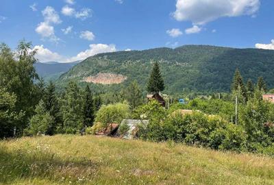 Teren de 4534 mp, în Câmpu lui Neag - 7