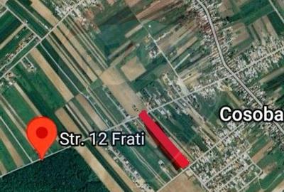 Teren Construcții de 3168 mp, în Cosoba - 4