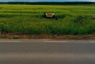 Teren Construcții extravilan de 7500 mp, în Afumați - 11