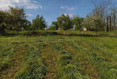 Teren de 2500 mp, în Mihăilești - 3