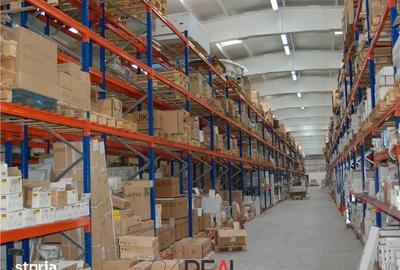 Spațiu comercial, de 2,673 mp, în Dragomirești-Vale - 5