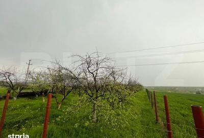 Teren de 4447 mp, în Pielești - 11