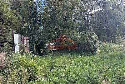 Teren Construcții intravilan de 4600 mp, în Porumbacu de Sus - 5