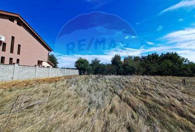 Teren agricol extravilan de 5316 mp, în Aradul Nou - 11