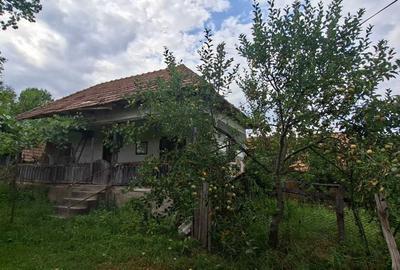 Teren de 10000 mp, în Foleștii de Jos