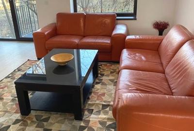 Apartament cu 2 camere decomandat, mobilat în Popas Păcurari