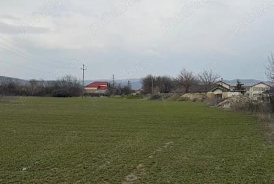 Teren de 10000 mp, în Vernești - 3