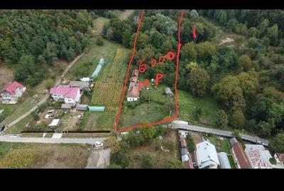Teren de 7000 mp, în Băiculești - 3