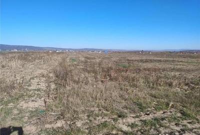 Teren de 5300 mp, în Cheriu - 2