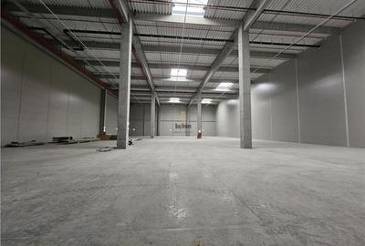Spațiu industrial, de 6,200 mp, în Vest - 16