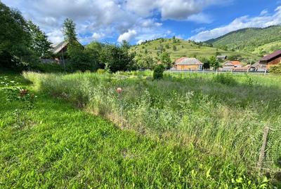 Casă cu 4 camere cu Teren 2000 Mp în Bolovăniș - 5