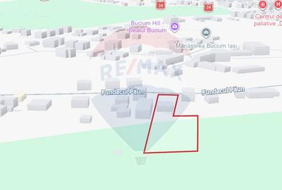 Teren Construcții intravilan de 2700 mp, în Bucium - 4