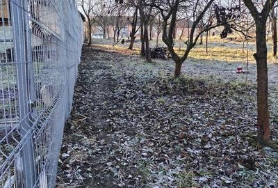 Casă cu Teren 3000 Mp în Hidiș - 2