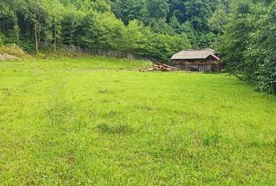 Teren de 5600 mp, în Malaia - 3