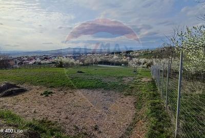 Teren Construcții intravilan de 2854 mp, în Păulești - 6