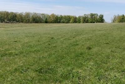 Teren Construcții extravilan de 7200 mp, în Grajduri - 9