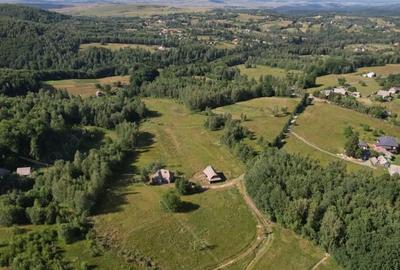 Teren de 38781 mp, în Râșca - 12