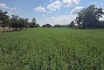 Teren de 3899 mp, în Filipeștii de Pădure - 7