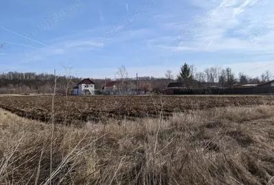 Teren în Broșteni (Costești) - 5