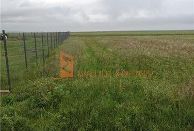Teren Construcții intravilan de 1100 mp, în Poșta Câlnău - 5