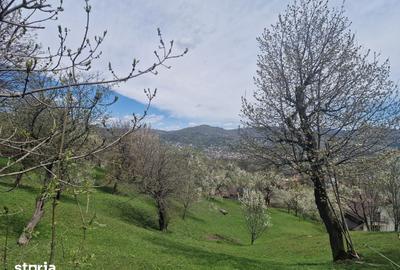 Teren de 2111 mp, în Ghioșești - 4