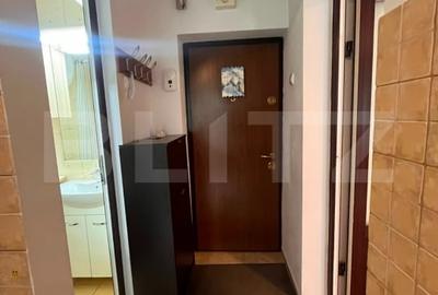 Garsonieră decomandată, mobilată în Podu Roș - 8