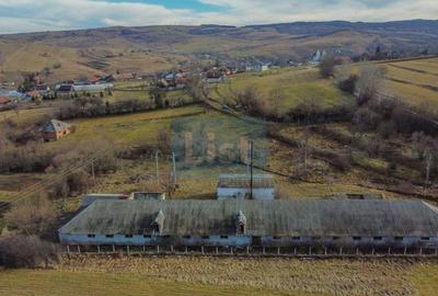 Teren Construcții intravilan de 7400 mp, în Păniceni - 4
