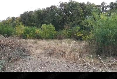 Teren de 400 mp, în Gruiu - 2