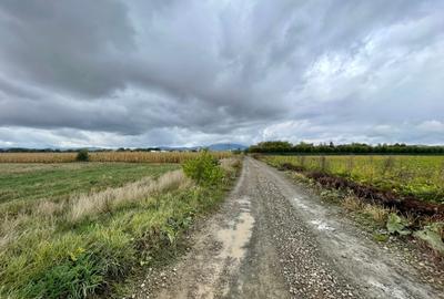 Teren intravilan de 28000 mp, în Exterior Nord - 1