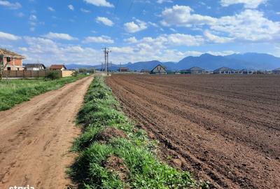 Teren de 52800 mp, în Tărlungeni - 2