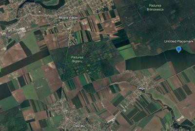 Teren agricol extravilan de 8918 mp, în Moara Vlăsiei - 1