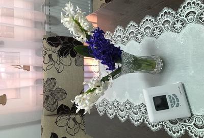 Apartament cu 2 camere decomandat în Precista