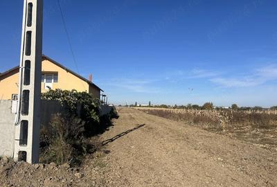 Teren de 3260 mp, în Mogoșani