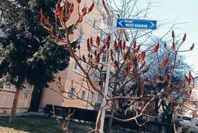 Apartament cu 3 camere decomandat în Exercițiu