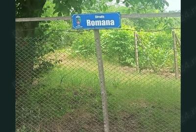 Teren de 1800 mp, în Arva