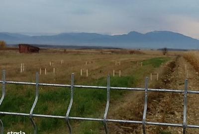 Teren de 47700 mp, în Ilieni - 3