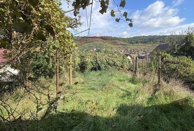 Casă cu 3 camere în Central