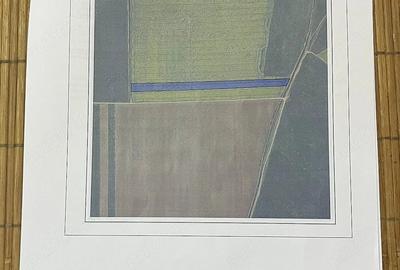 Teren de 18000 mp, în Roit